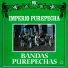 Bandas Purepechas