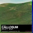 Callosum