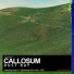Callosum
