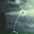 Vinyl Dharma