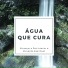 Rui Paz Almeida