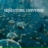 Miniature Universe