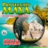 Marimba Orquesta Proyección Maya