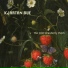 Kjartan Bue