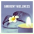 Wellness Spa Oasis
