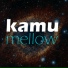 Kamu