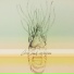Oceanspeak