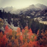 Alpin