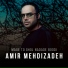 Amir Mehdizadeh
