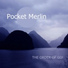 Pocket Merlin