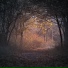 Rain Recorders, Ayurveda, Musica Relajante