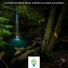 Mother Nature Sound FX