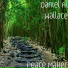Daniel Al Wallace