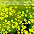 Ayurveda Massage Music Specialists