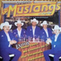 Los Mustangs Del Norte De Chihuahua