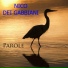 Nico Dei Gabbiani