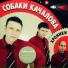 Sobaki Kachalova 2009