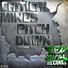 Critical Minds