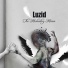 Luzid