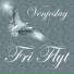 Fri Flyt