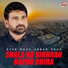 Syed Raza Abbas Shah