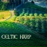 Irish Christmas Folk Music