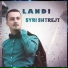 Landi
