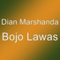 Dian Marshanda