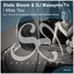 Static Bloom & DJ Massymo Tn