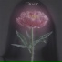 Doer
