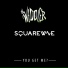 DJ Squarewave, The Widdler