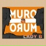 Lady B