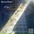 Goncharenko Andrew