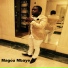 Magou Mbaye feat. Doko style