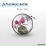 Premeson