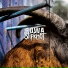 Slip Knot