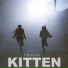 Kitten