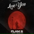 flam b feat. Steps, snazzygrin
