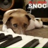 Snoc