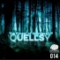 Reac & Quellsy