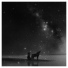 Sleeping At Last feat. Tim Fain
