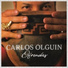 Carlos Olguín feat. Irene Tapia