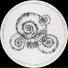 Fossil Archive aka Roberto