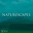 Stephanie Taylor