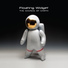 Floating Widget