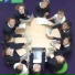 Snazzy Badgers feat. Wood Farm Primary School