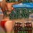 Internacional Carro Show