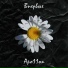 Apo11on