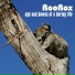 RooRox