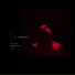 midnight, ylxr